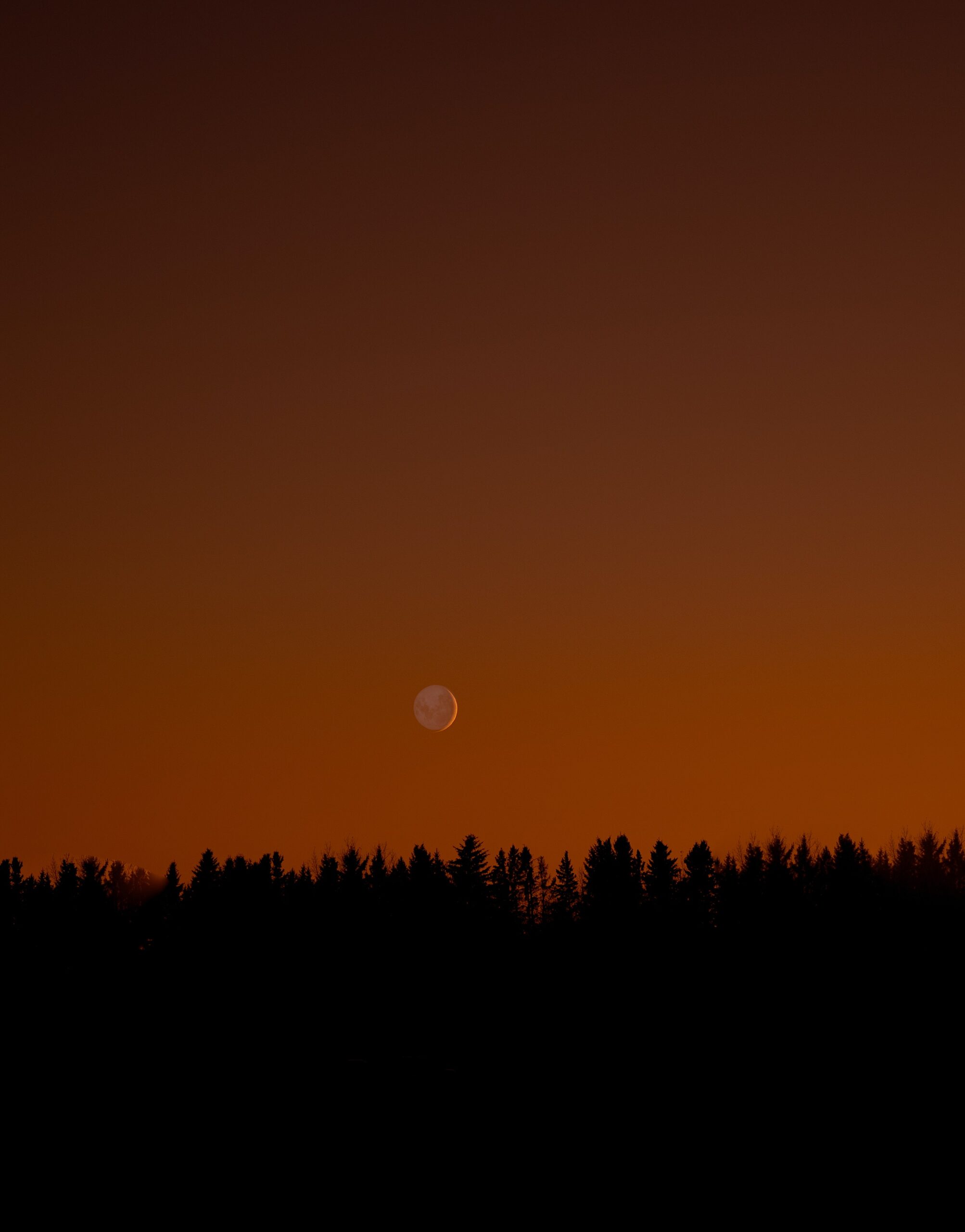 Read more about the article In cold blood