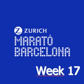 Read more about the article Week 17