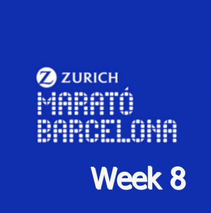 You are currently viewing Week 8